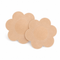 StaySure Satin & Disposable Nipple Covers